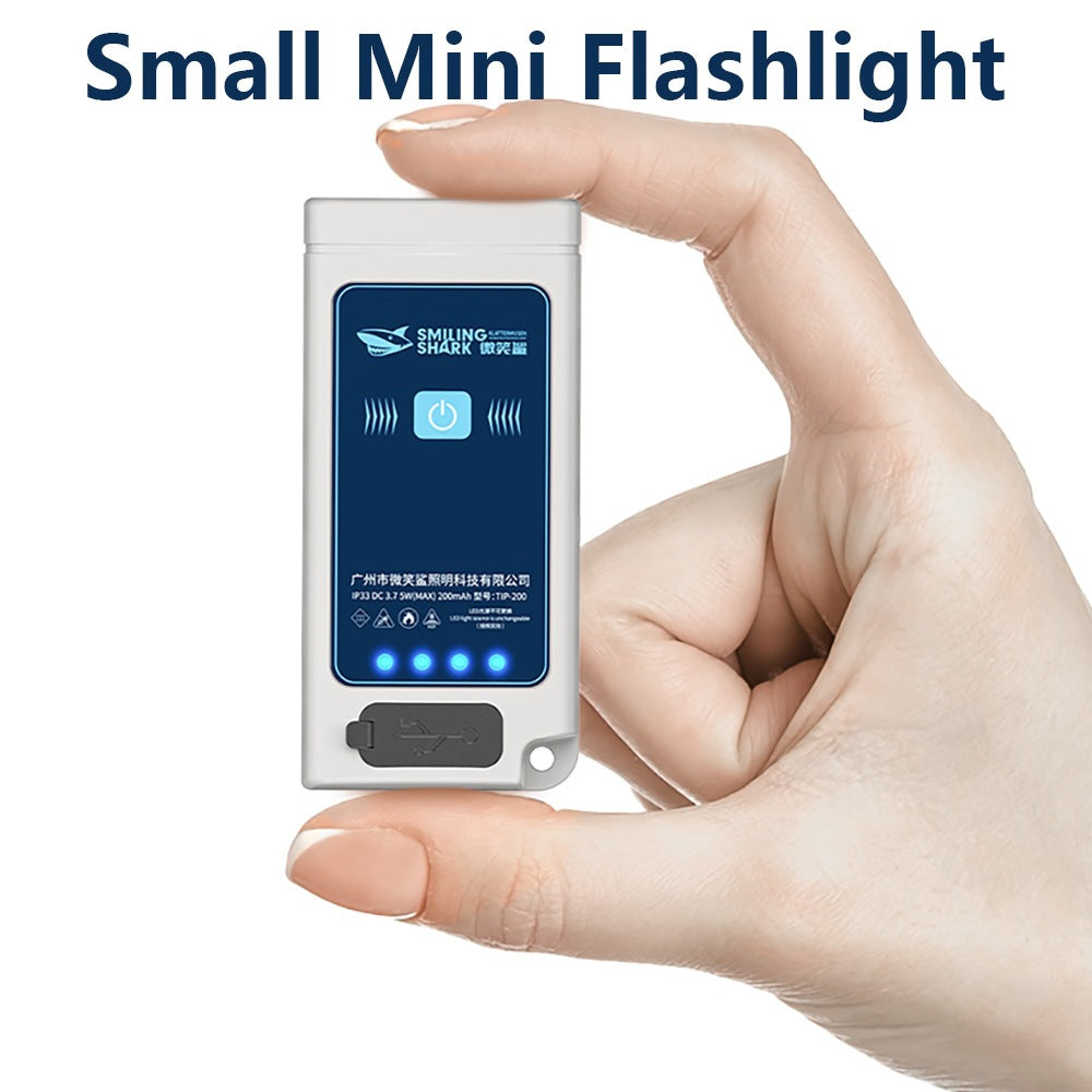 Outdoor portable flashlight with cigarette lighter function