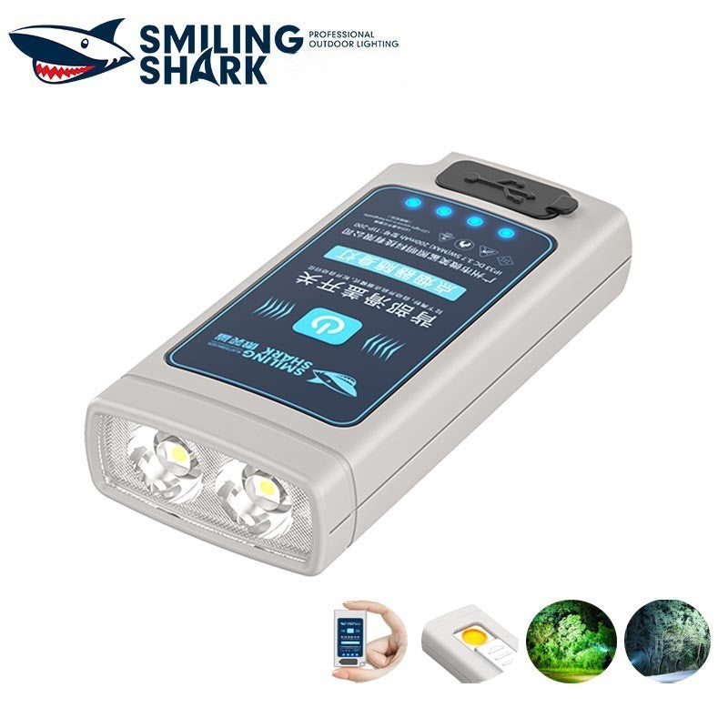 Outdoor portable flashlight with cigarette lighter function